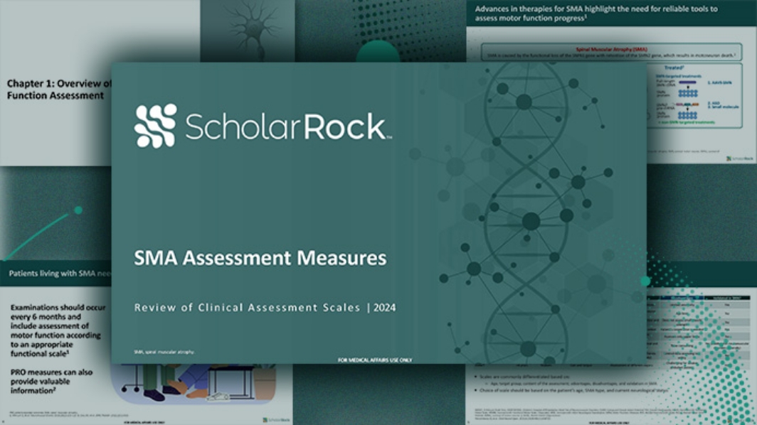 Motor Function Assessment Measures in SMA