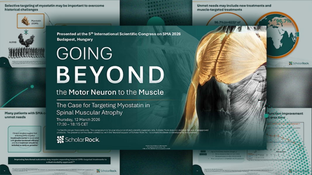 Going Beyond the Motor Neuron to the Muscle: The Case for Targeting Myostatin in SMA